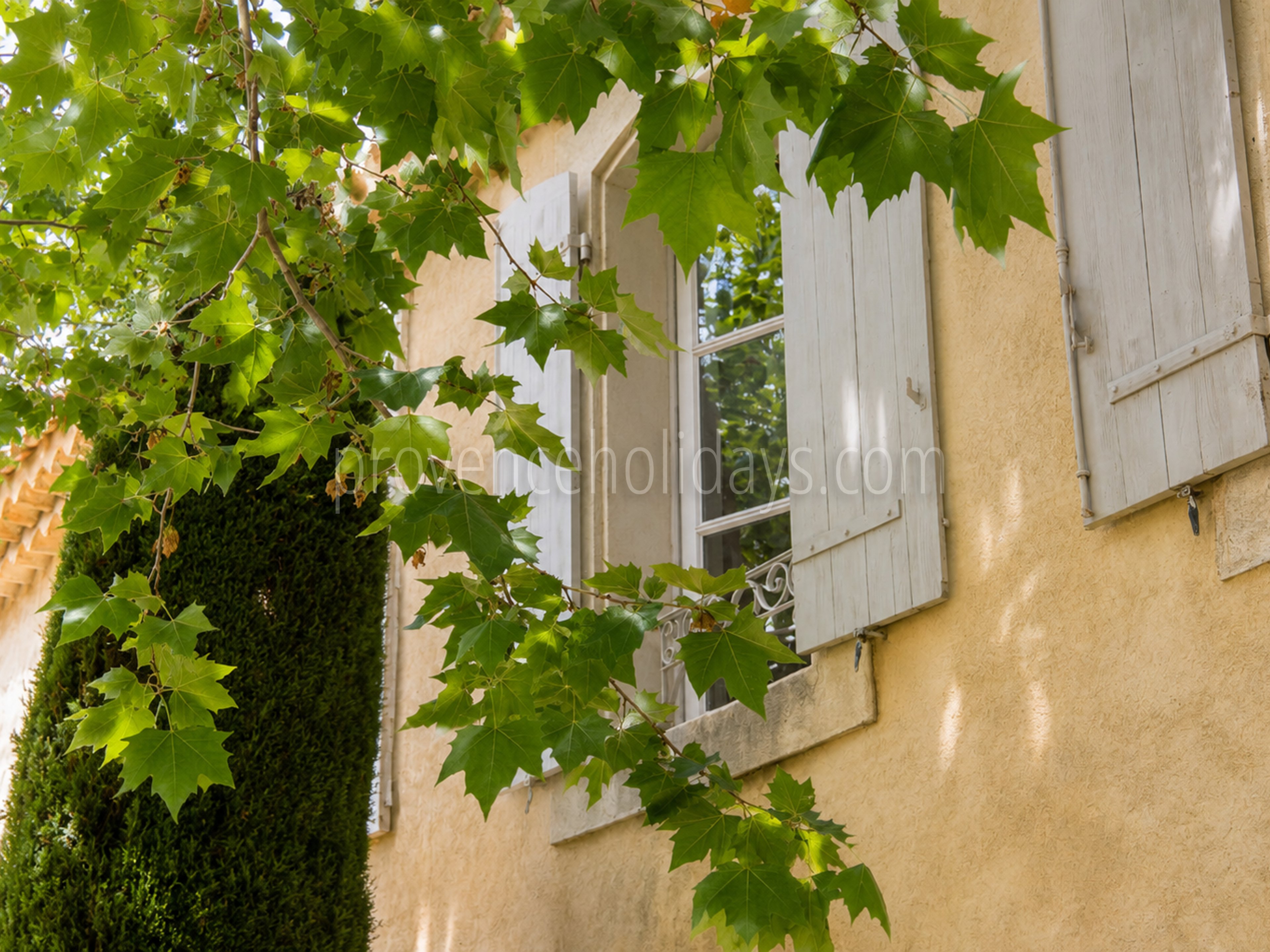 9 - Mas de l\'Orchidée: Villa: Exterior