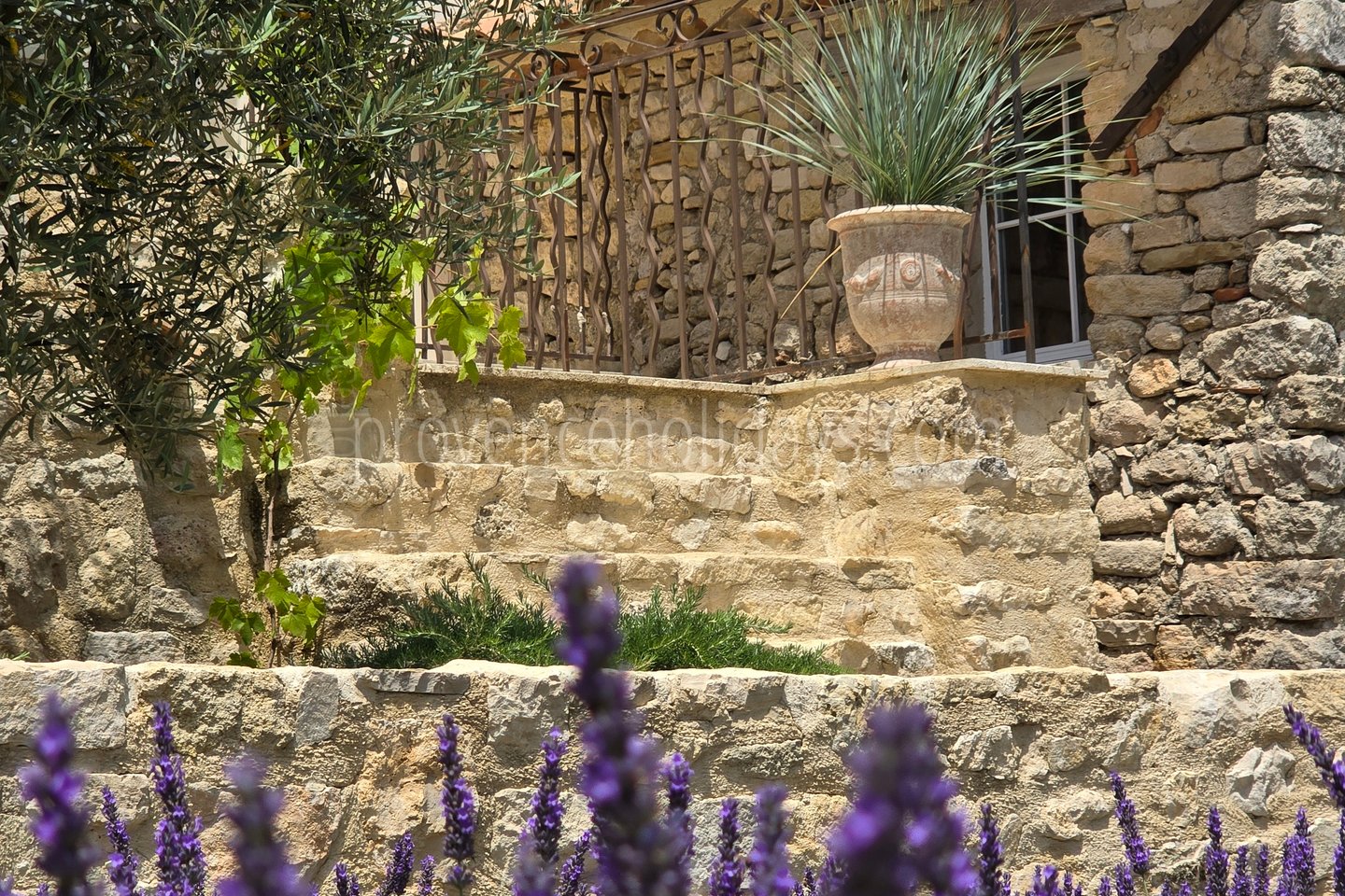 46 - Mas Cerisiers: Villa: Exterior