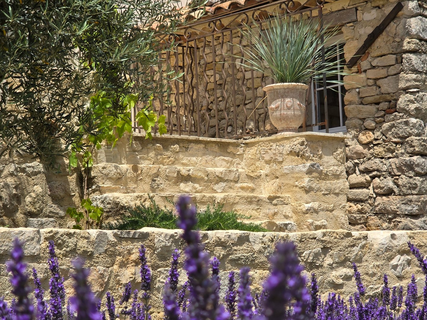 48 - Mas Cerisiers: Villa: Exterior
