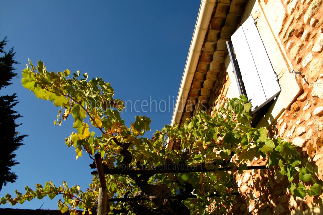 19 - La Ferme du Grand Tilleul: Villa: Exterior