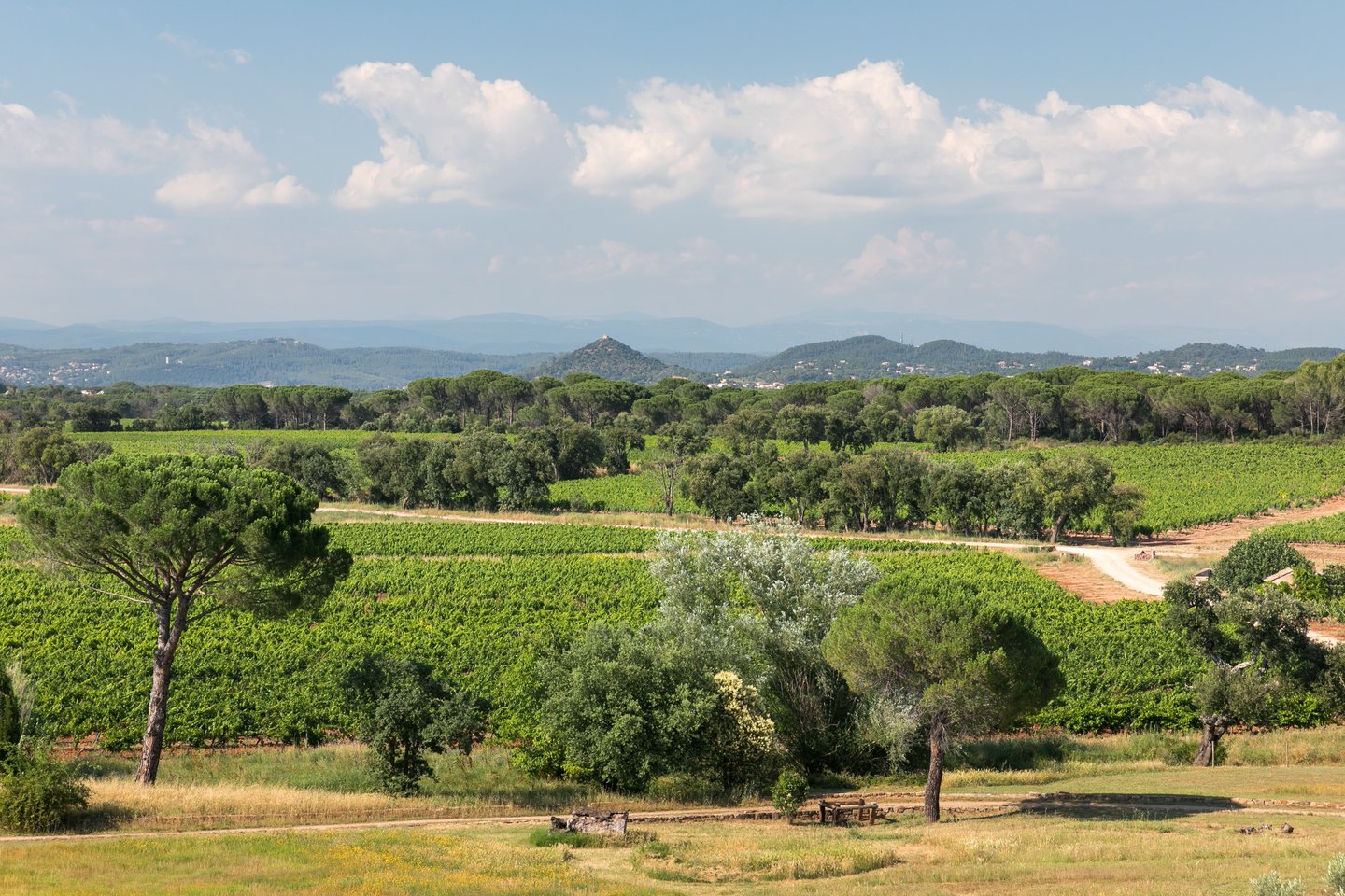 9 - Domaine de Vidauban: Villa: Exterior