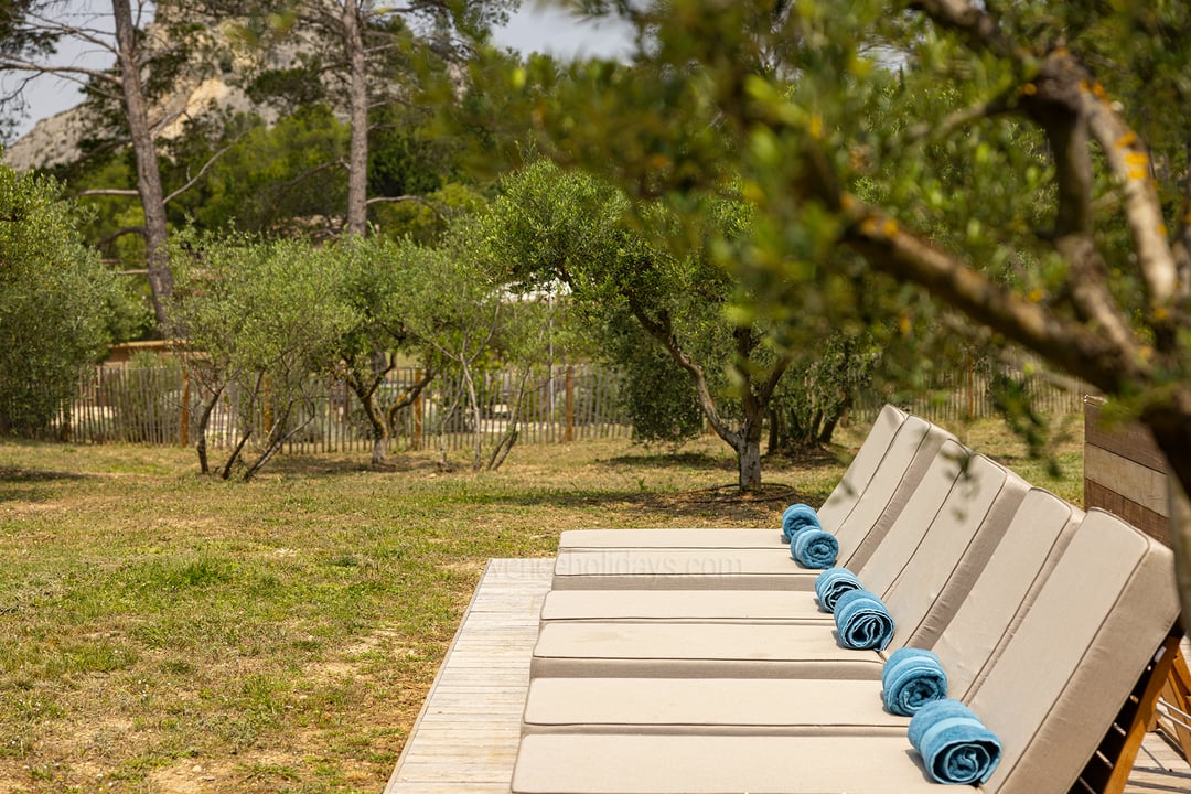 A corner of paradise in the heart of the Alpilles 5 - Le Mas Secret: Villa: Exterior
