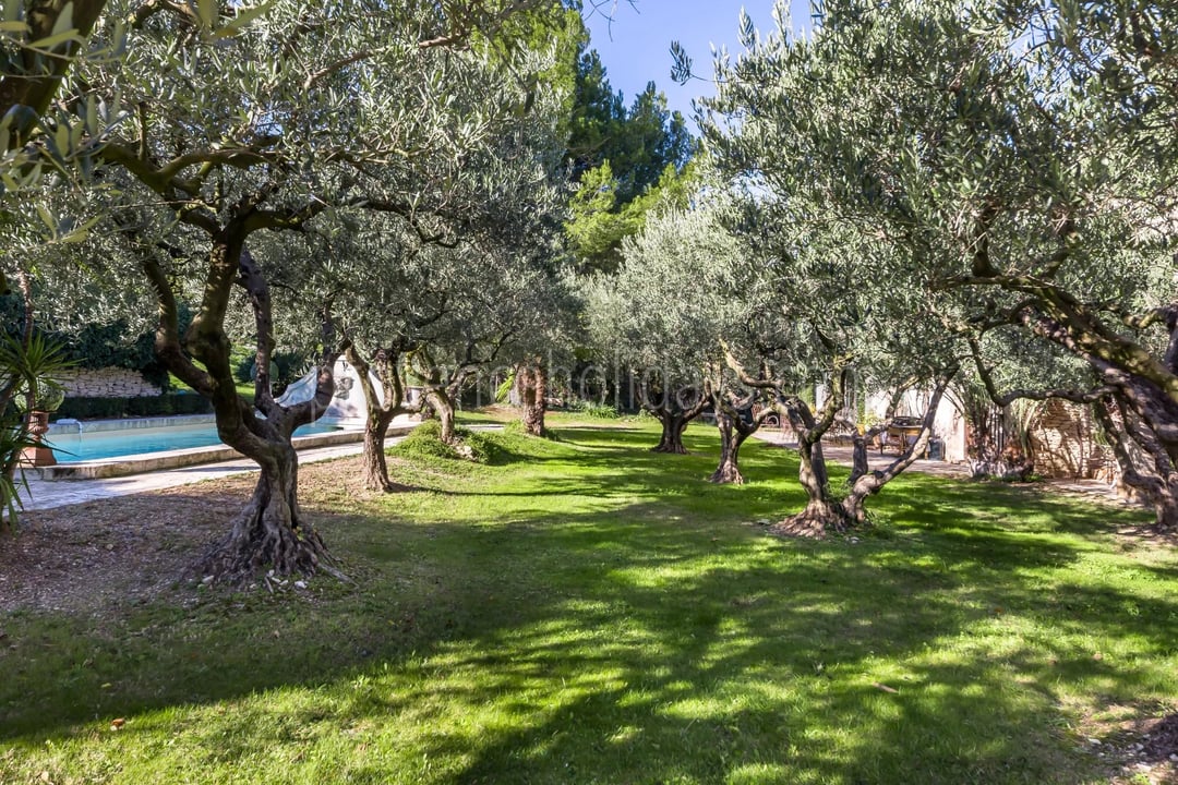 14 - Stone bastide in Cavaillon: Villa: Exterior