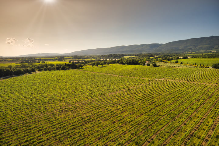 76 - Domaine de Luberon: Villa: Exterior