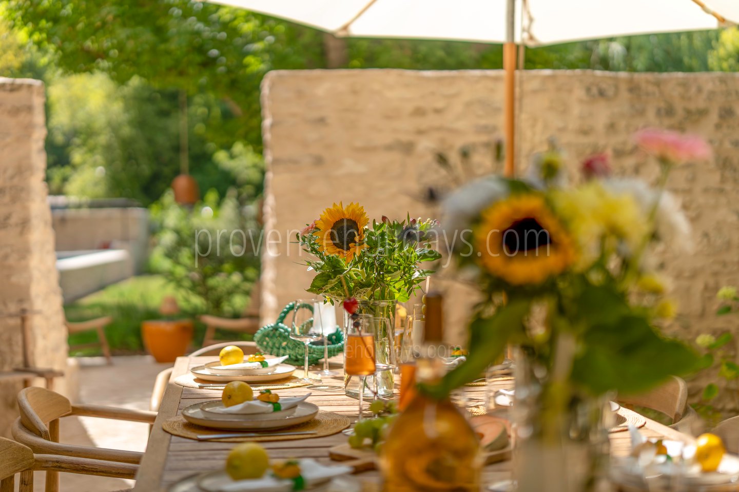 8 - Domaine de la Sorgue: Villa: Exterior