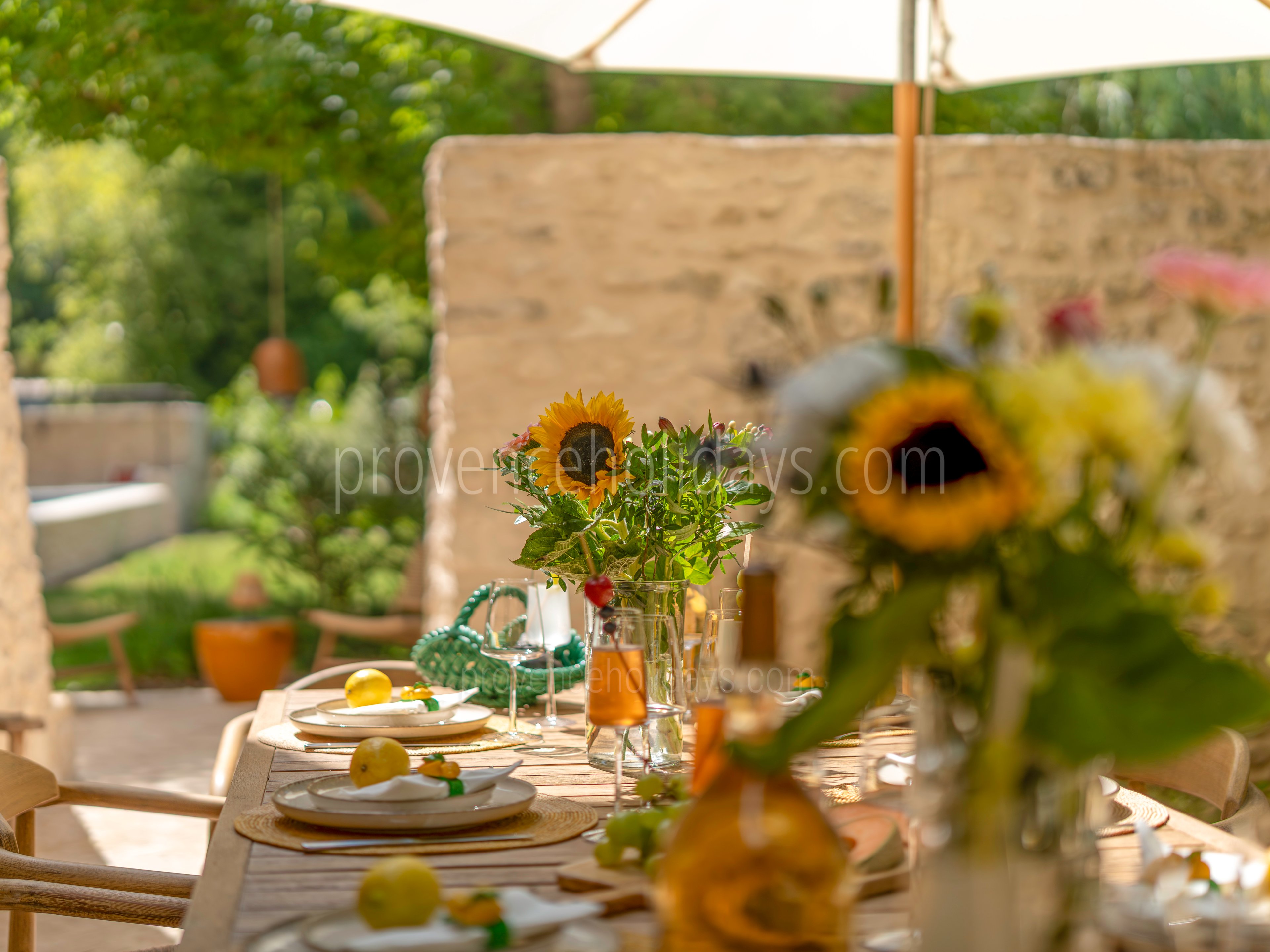 8 - Domaine de la Sorgue: Villa: Exterior