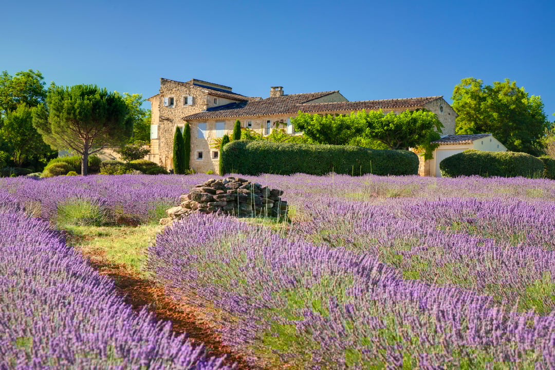 Holiday home with heated swimming pool in Bonnieux