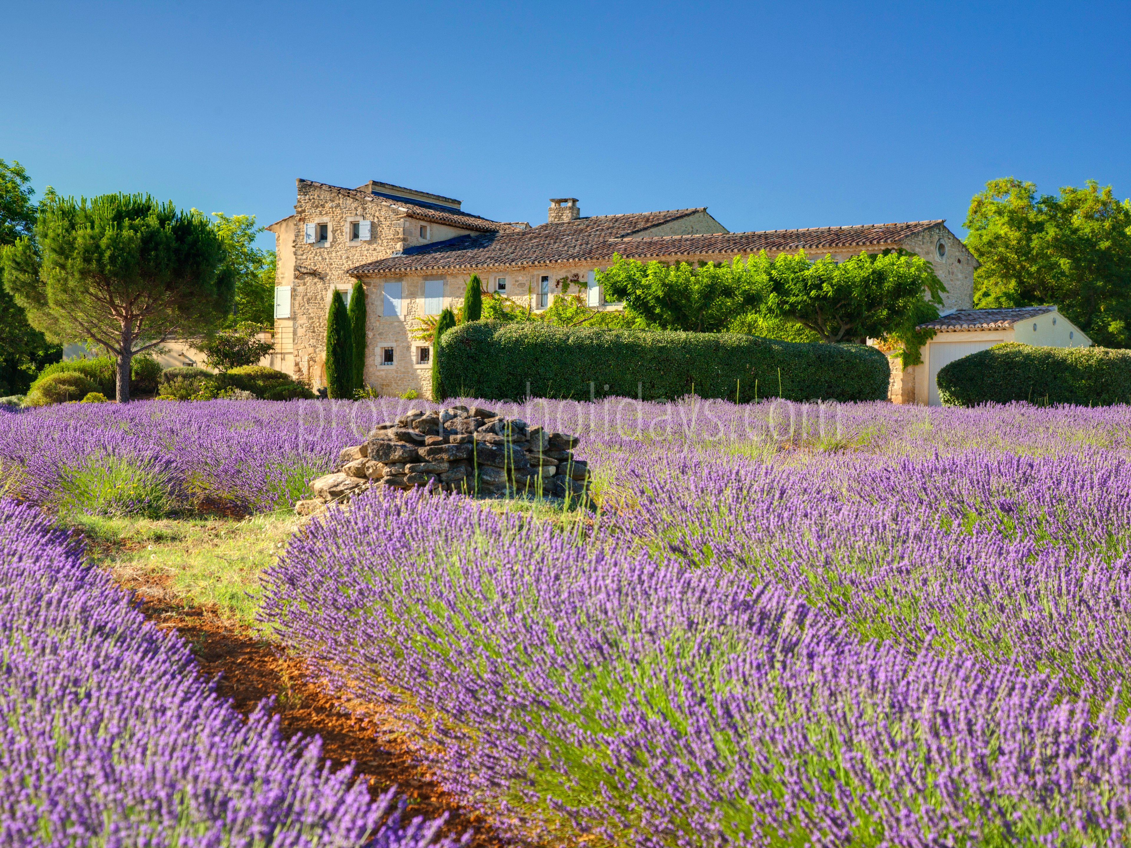 1 - Mas Bonnieux: Villa: Exterior