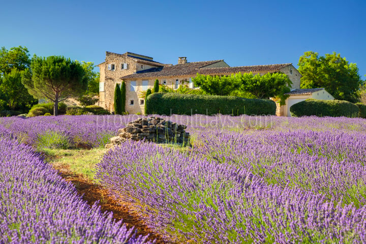 Holiday home with heated swimming pool in Bonnieux