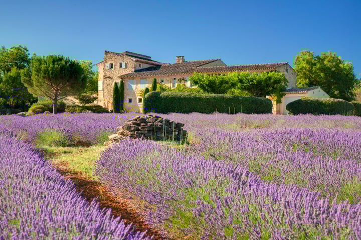 Holiday home with heated swimming pool in Bonnieux