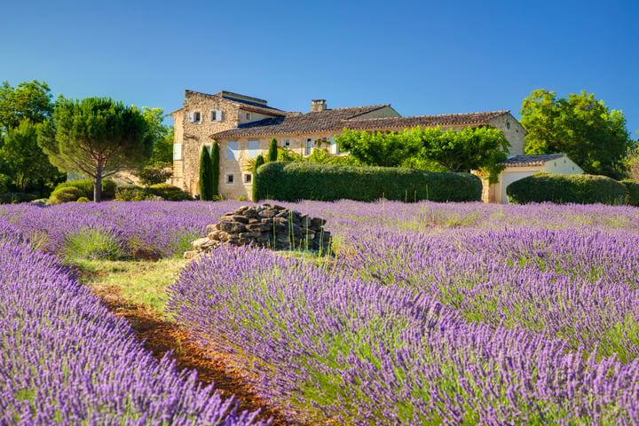 Maison de vacances d'exception avec piscine chauffée à Bonnieux