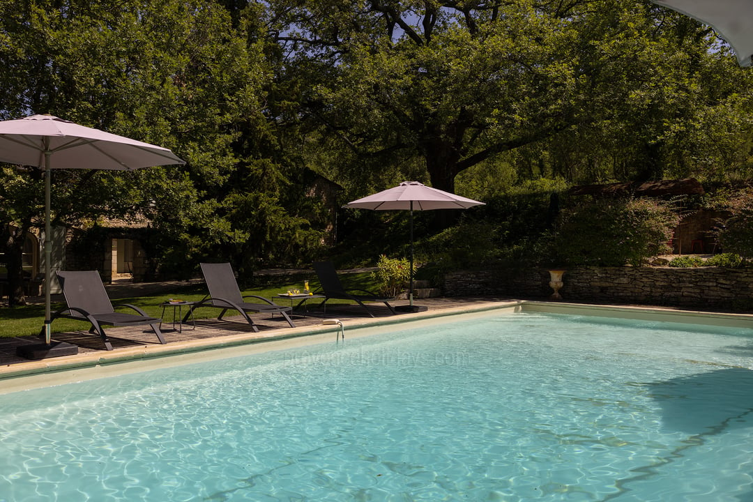 21 - Mas de Saint-Hilaire: Villa: Pool