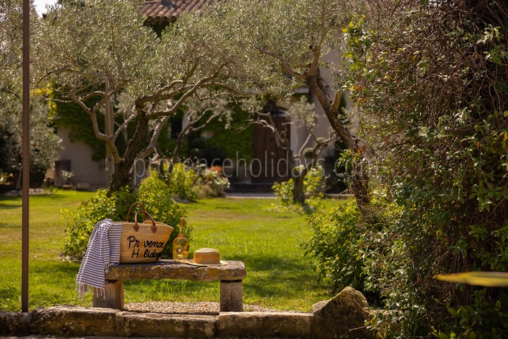 Maison provençale avec piscine à Saint-Rémy-de-Provence