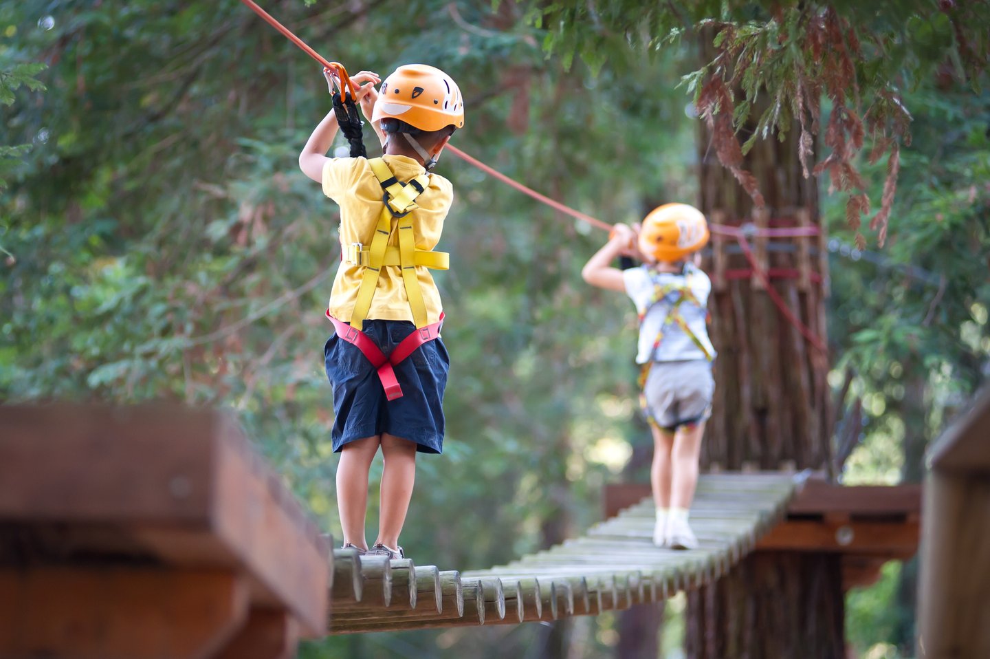 go ape with the kids