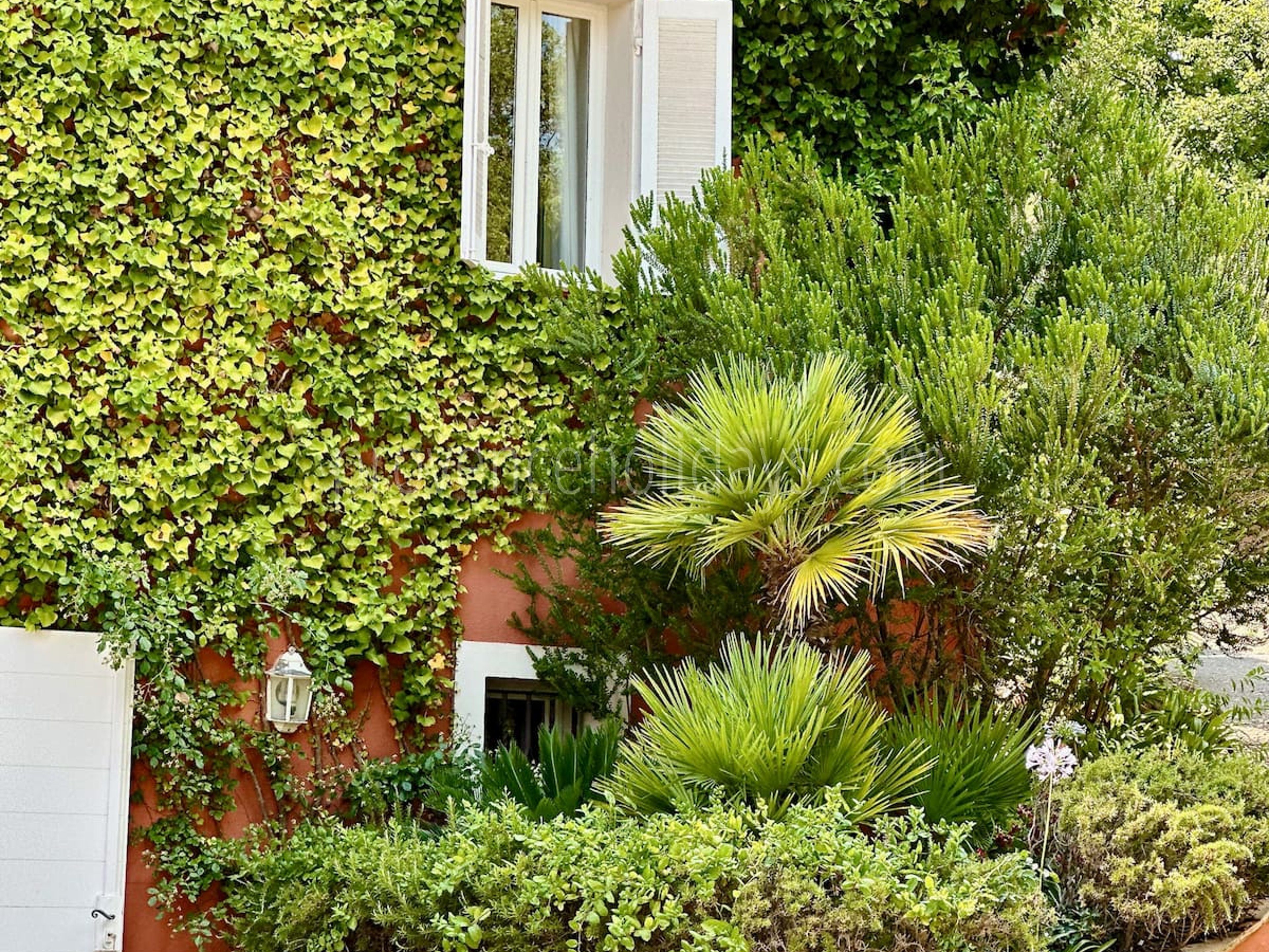 64 - Villa Bella: Villa: Exterior