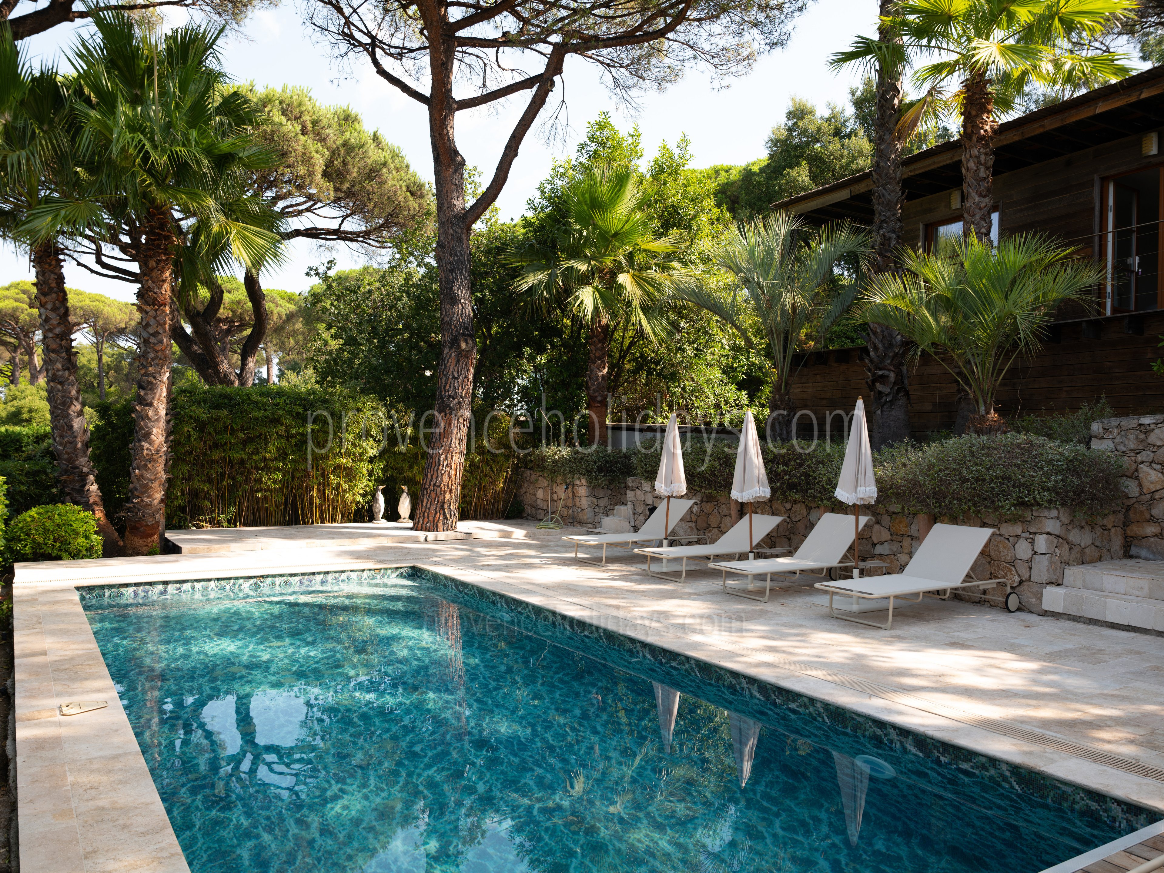 1 - Villa les Pins: Villa: Pool