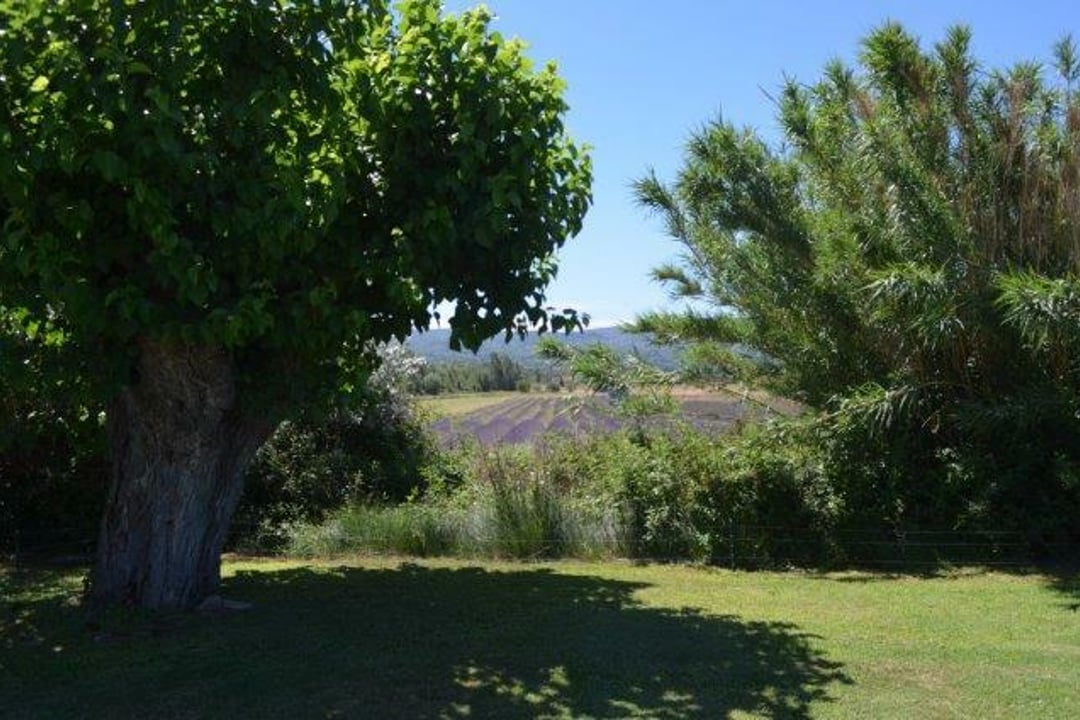 10 - La Bastide des Pins: Villa: Exterior