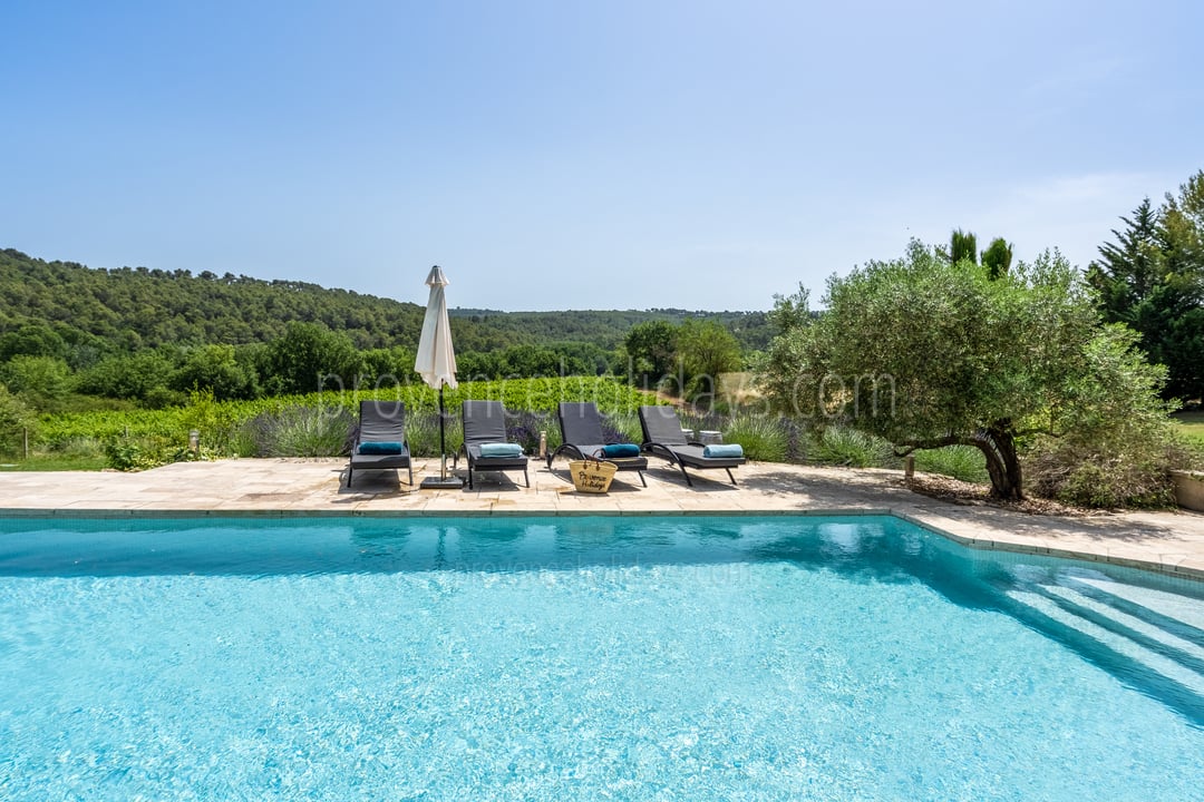 22 - Mas de Beaulieu: Villa: Pool