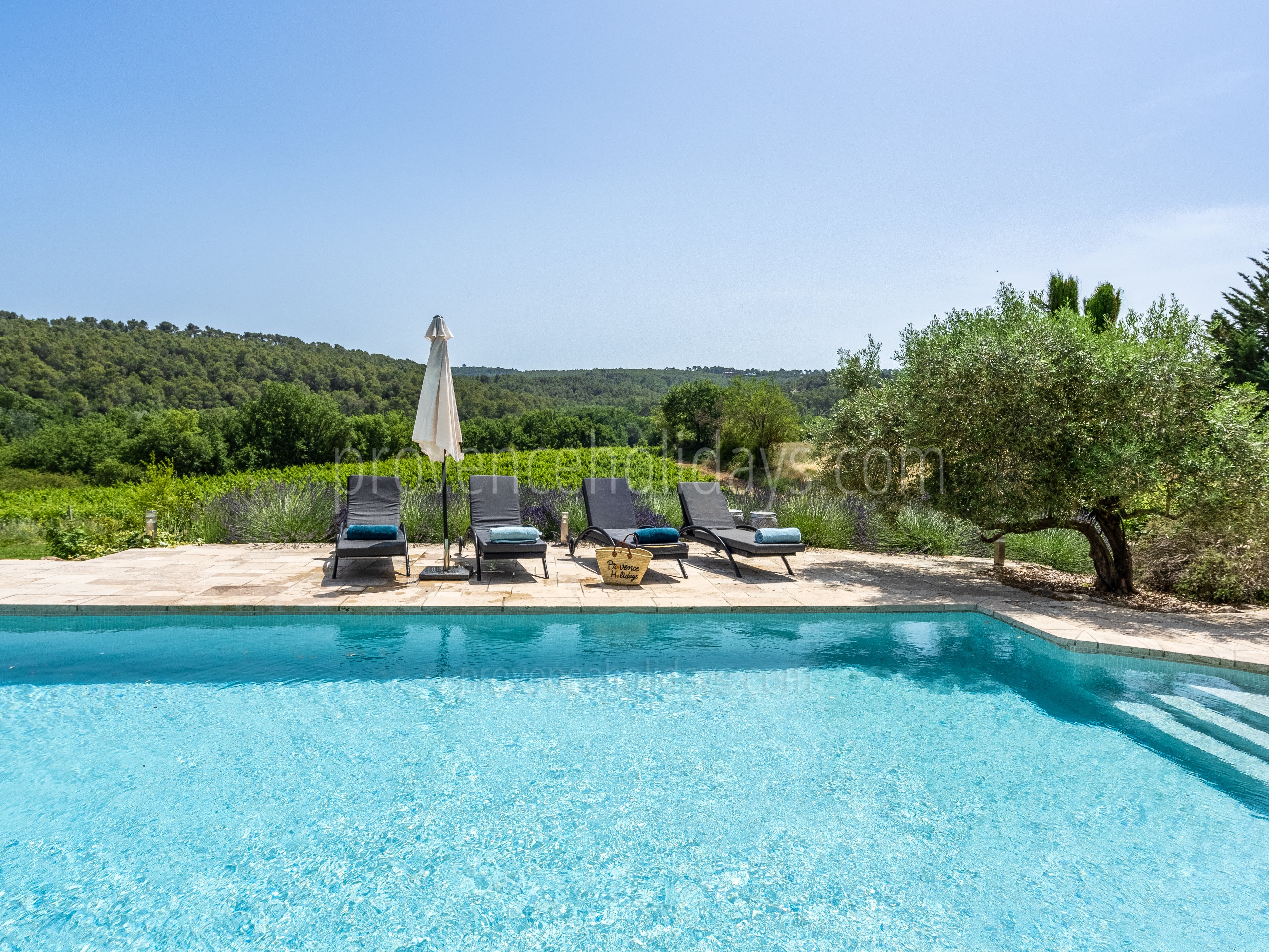 22 - Mas de Beaulieu: Villa: Pool
