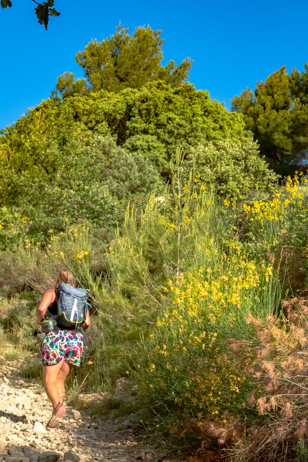 hiking mont ventoux