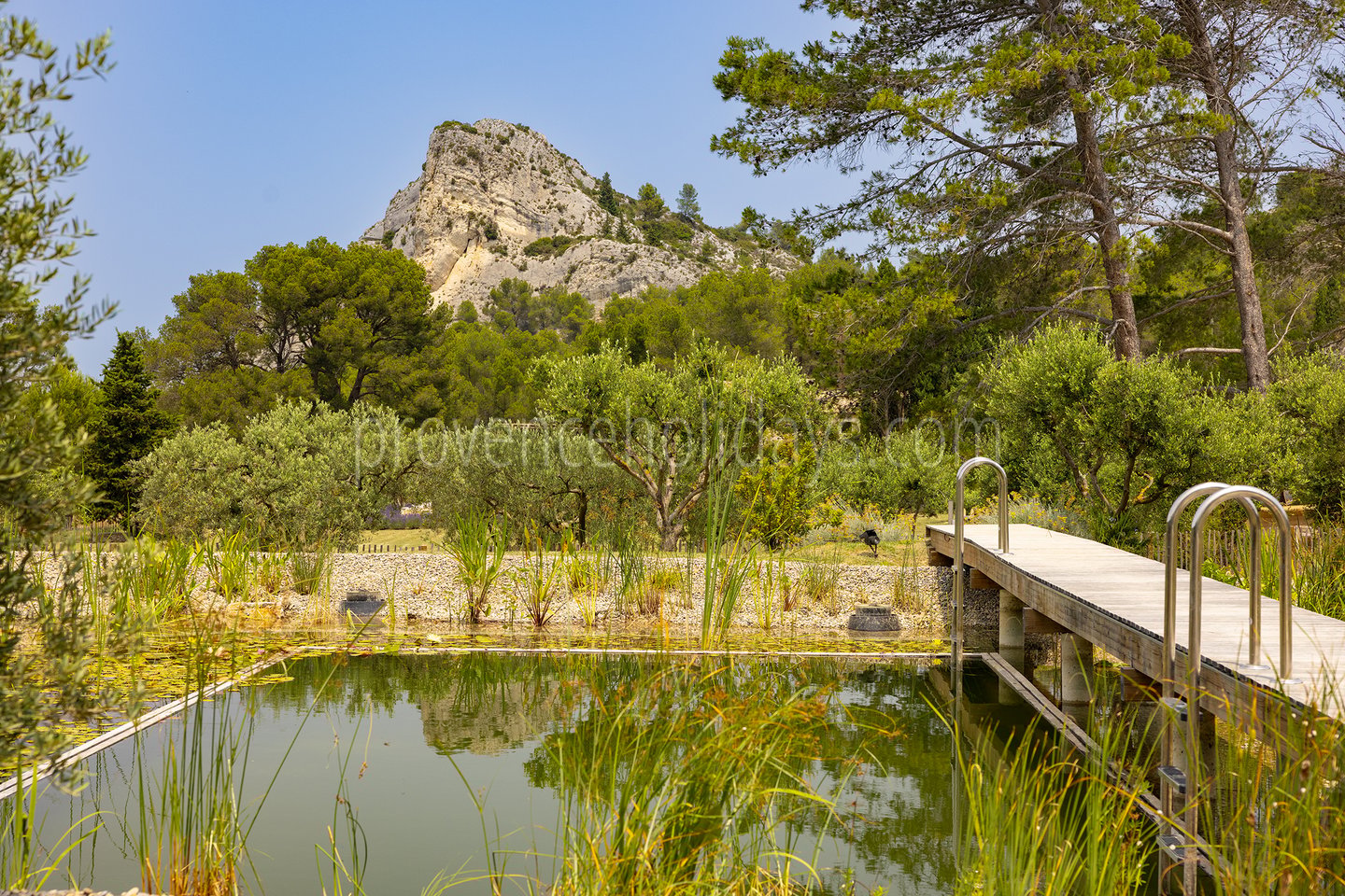 11 - Le Mas Secret: Villa: Pool