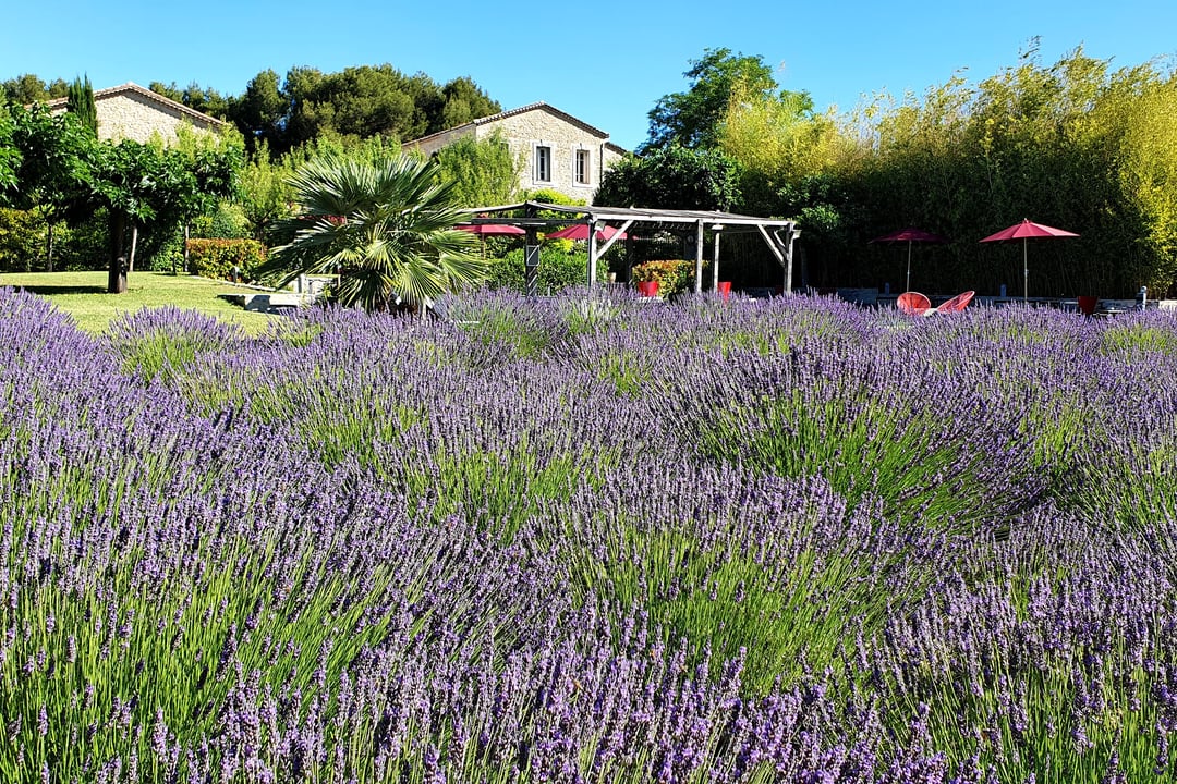 Propriété d'exception à vendre avec piscine, spa, salle de fitness près de l'Isle-sur-la-Sorgue Bastide des Sens - 5