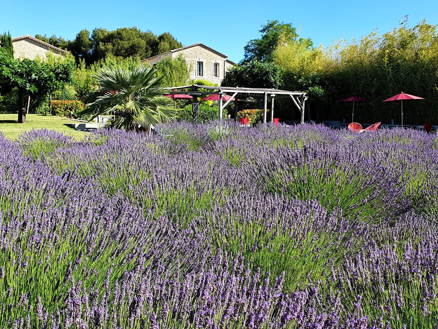 5 - La Bastide des Sens: Villa: Exterior