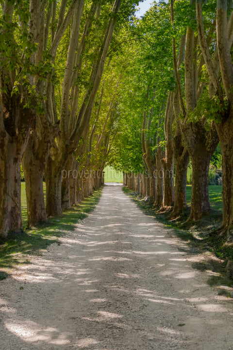 124 - Domaine des cascades: Villa: Exterior