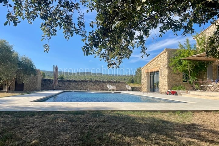 26 - Villa Douce Provence: Villa: Pool