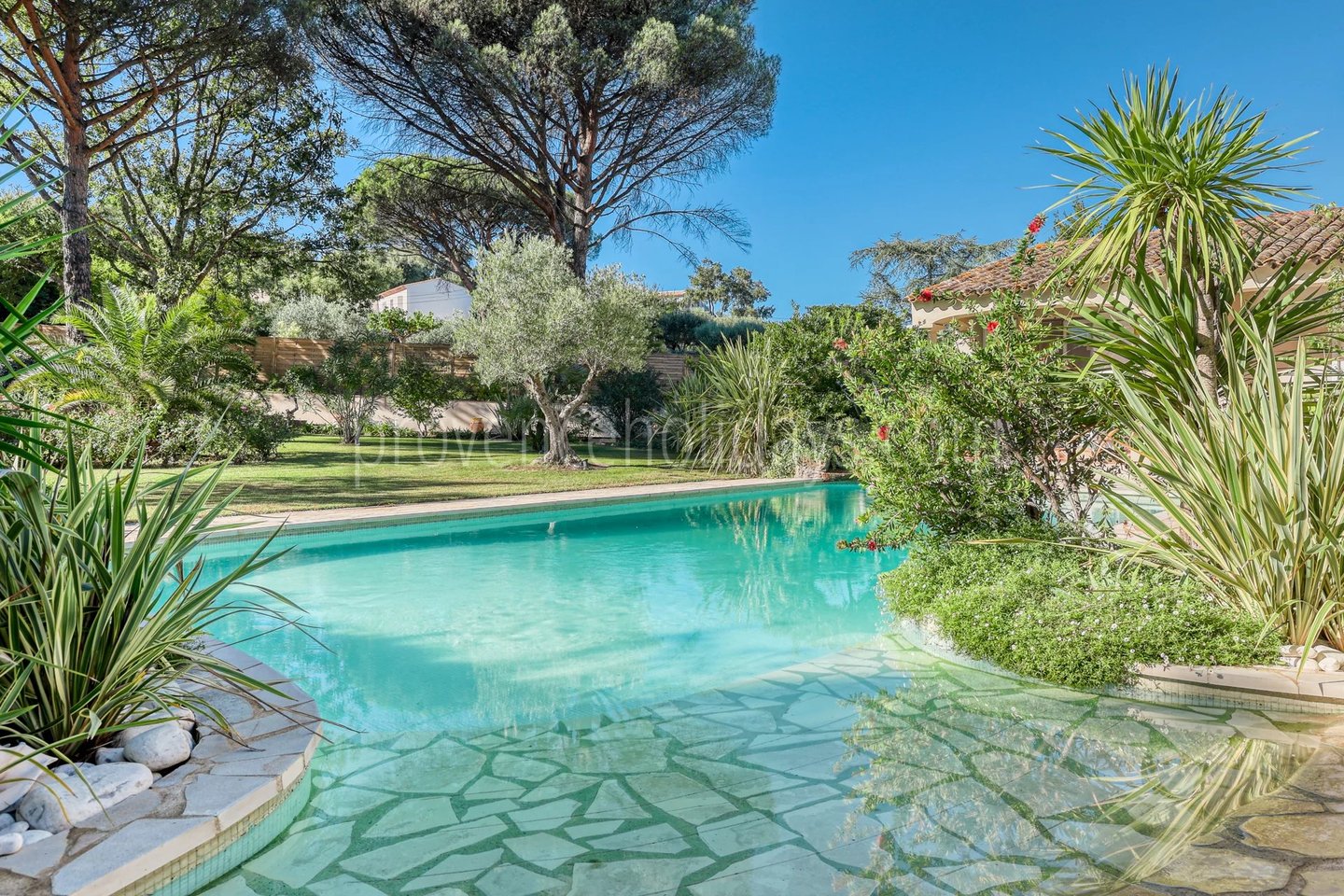 4 - Villa met gastenverblijf in Grimaud: Villa: Pool
