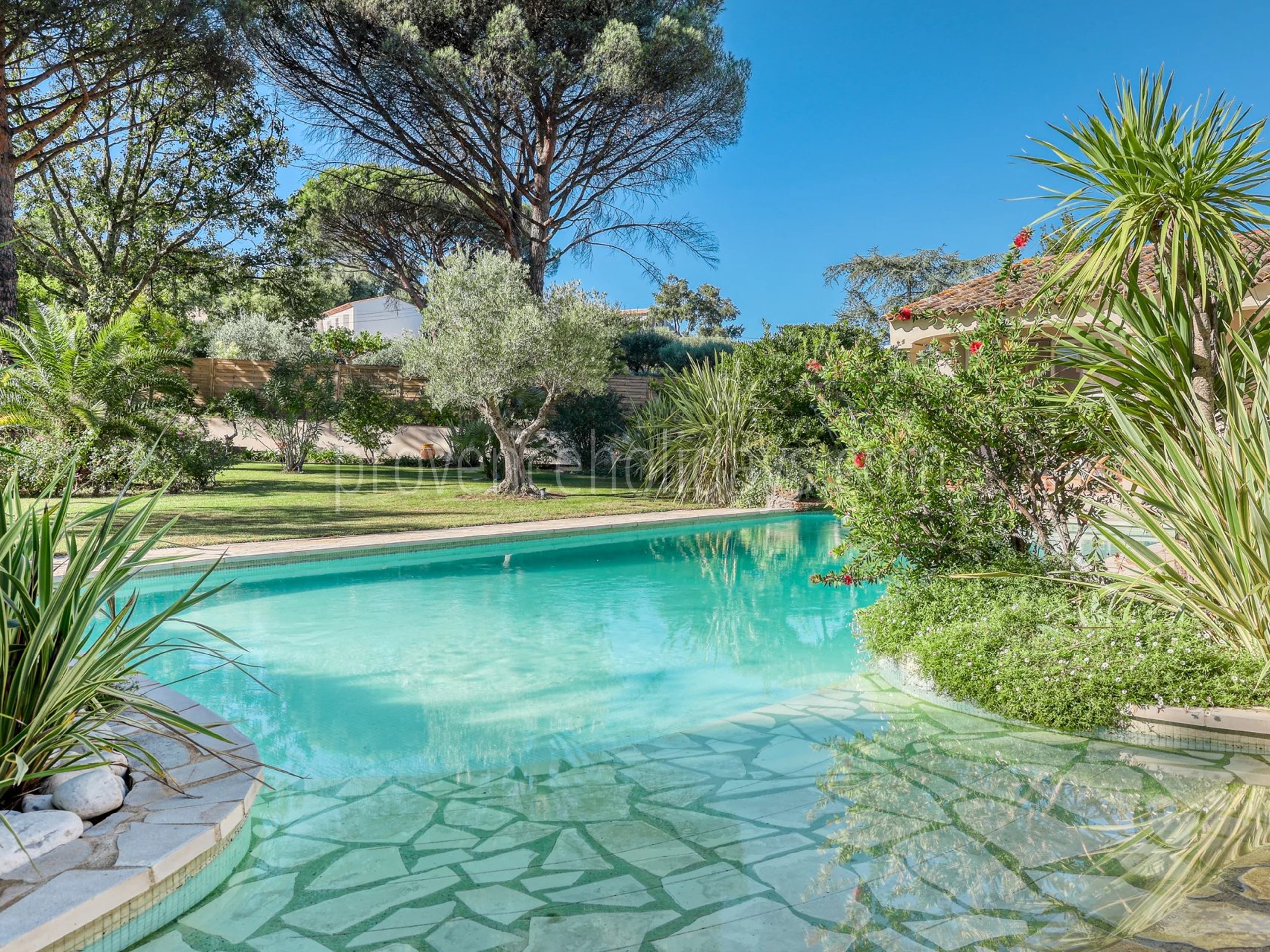 4 - Villa avec maison d’invités à Grimaud: Villa: Pool