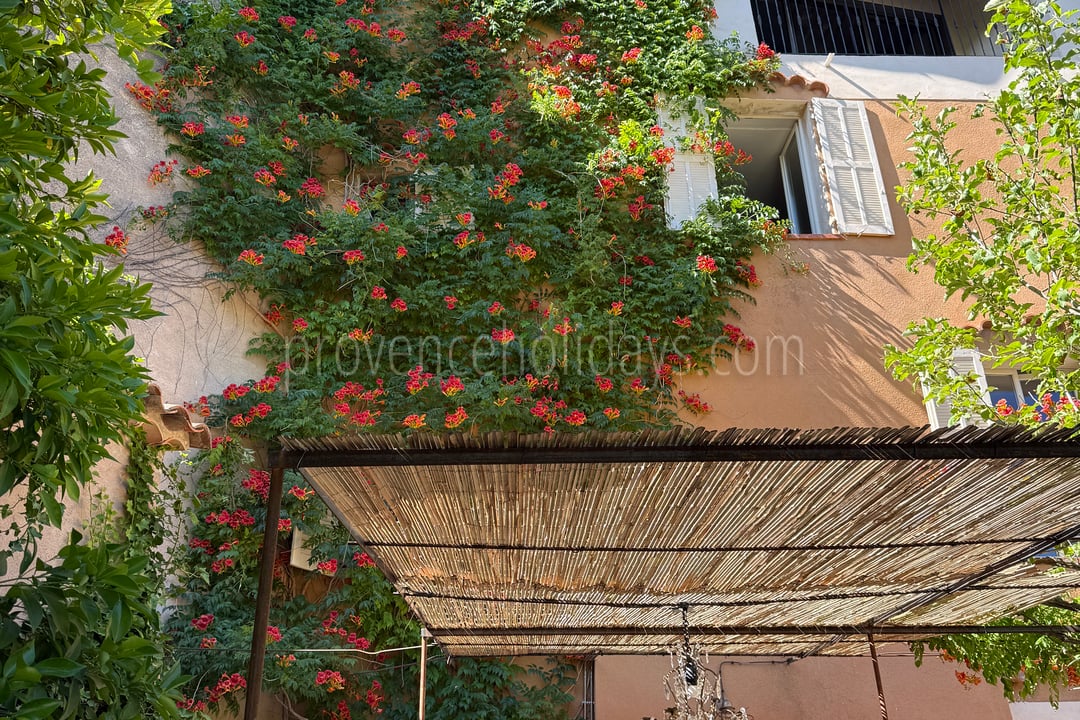 75 - Hotel Olivine: Villa: Exterior