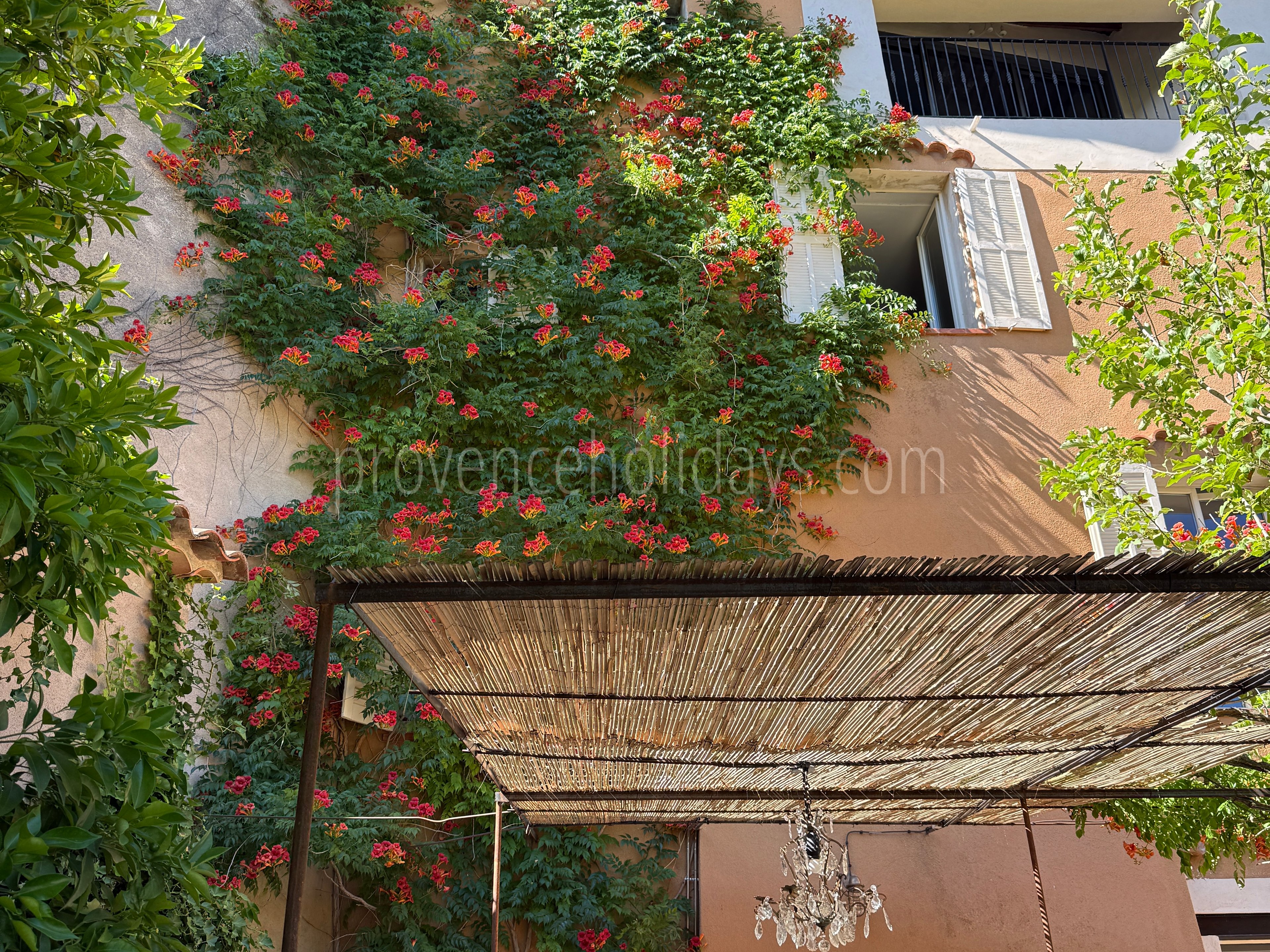 75 - Hotel Olivine: Villa: Exterior