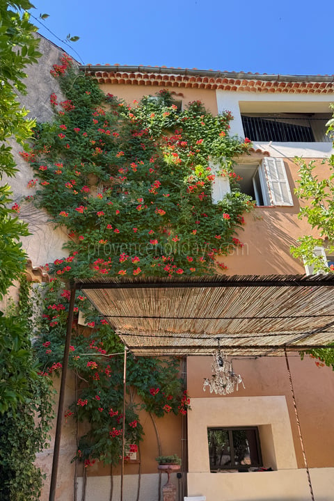 75 - Hotel Olivine: Villa: Exterior