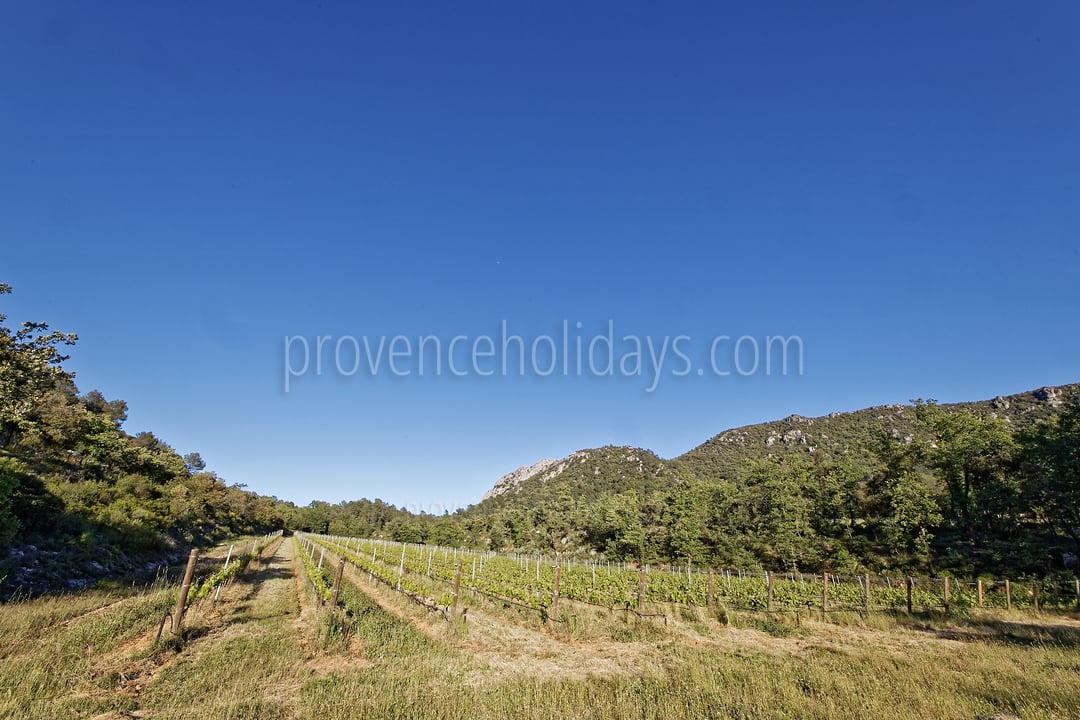 56 - Villa Garrigue: Villa: Exterior