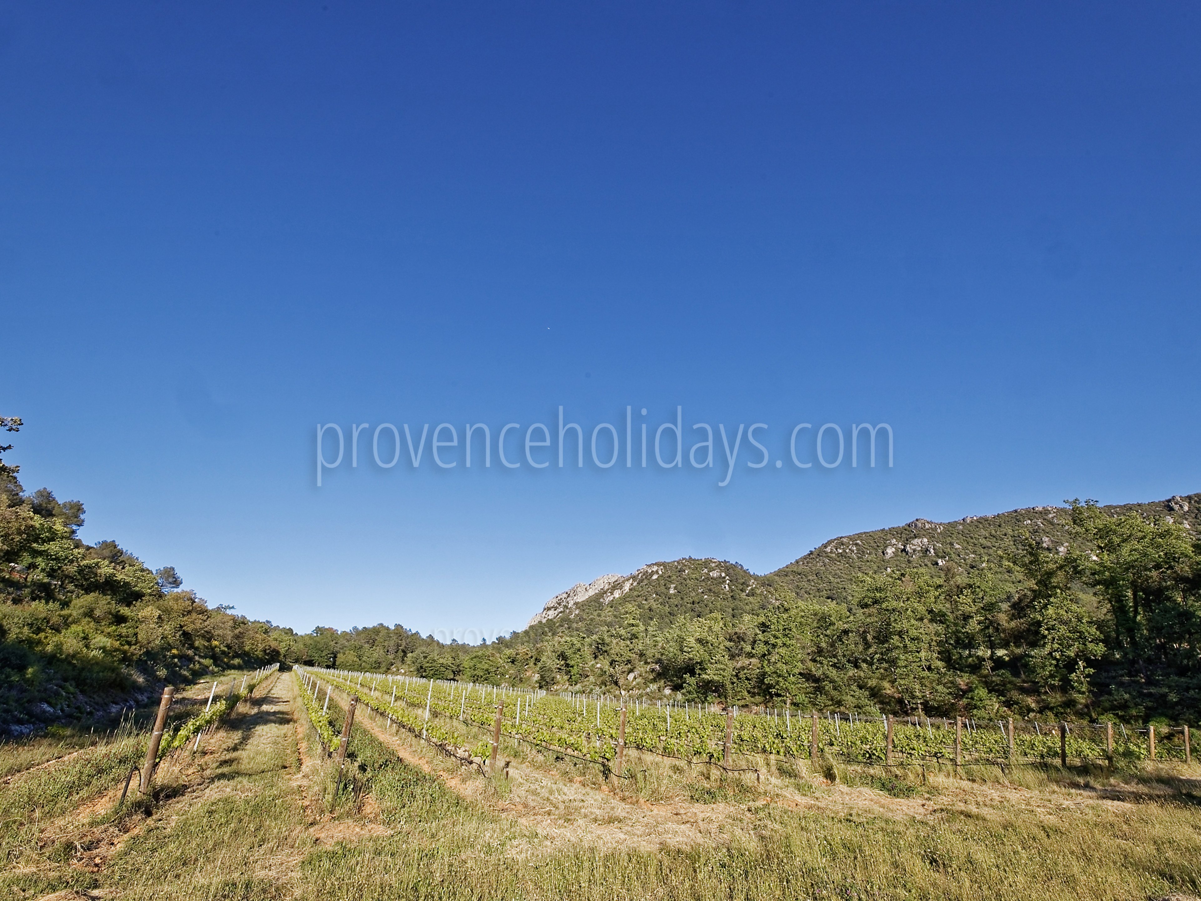 56 - Villa Garrigue: Villa: Exterior