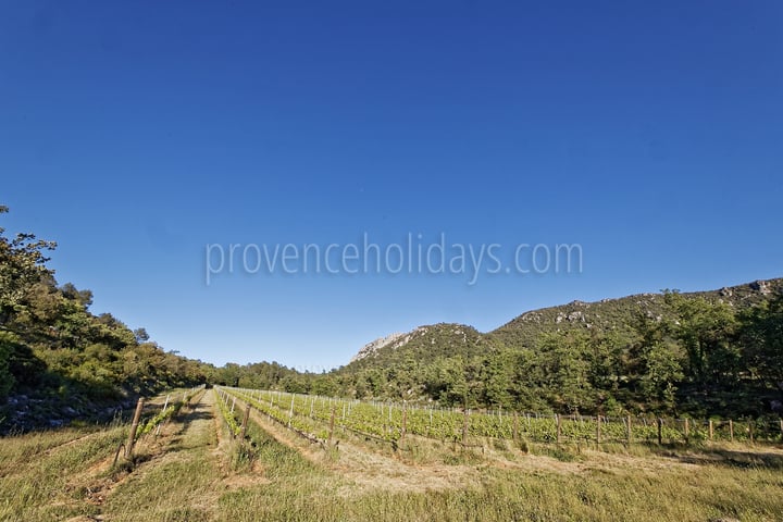 56 - Villa Garrigue: Villa: Exterior