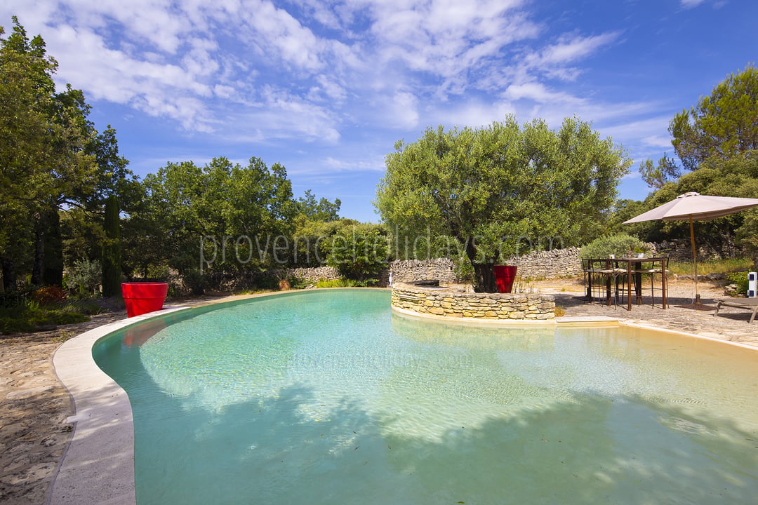 19 - La Garrigue: Villa: Pool