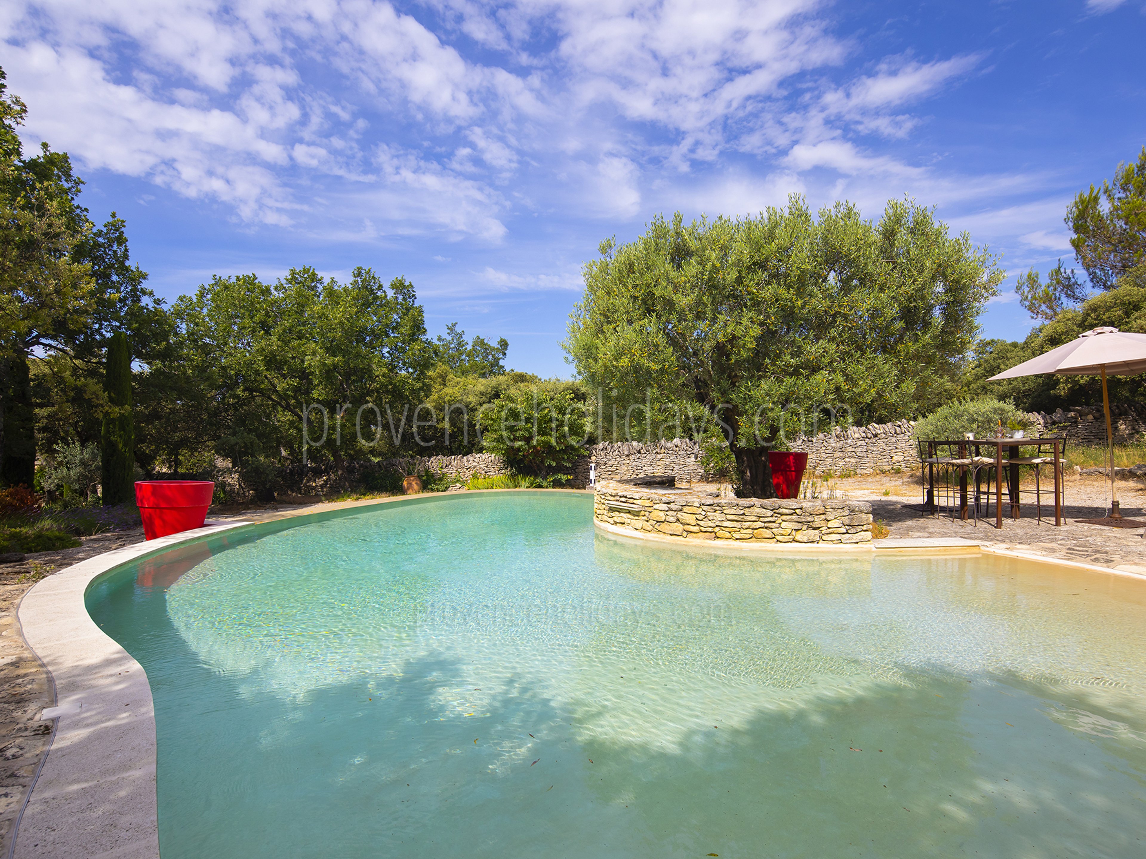 19 - La Garrigue: Villa: Pool