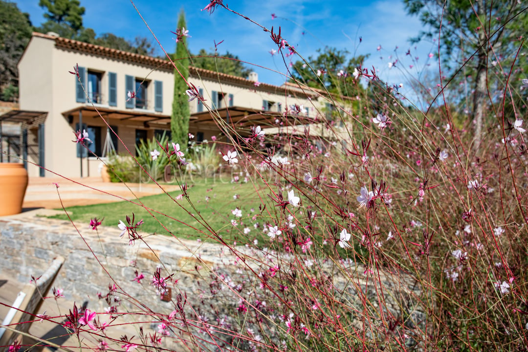 13 - Villa Hyères: Villa: Exterior