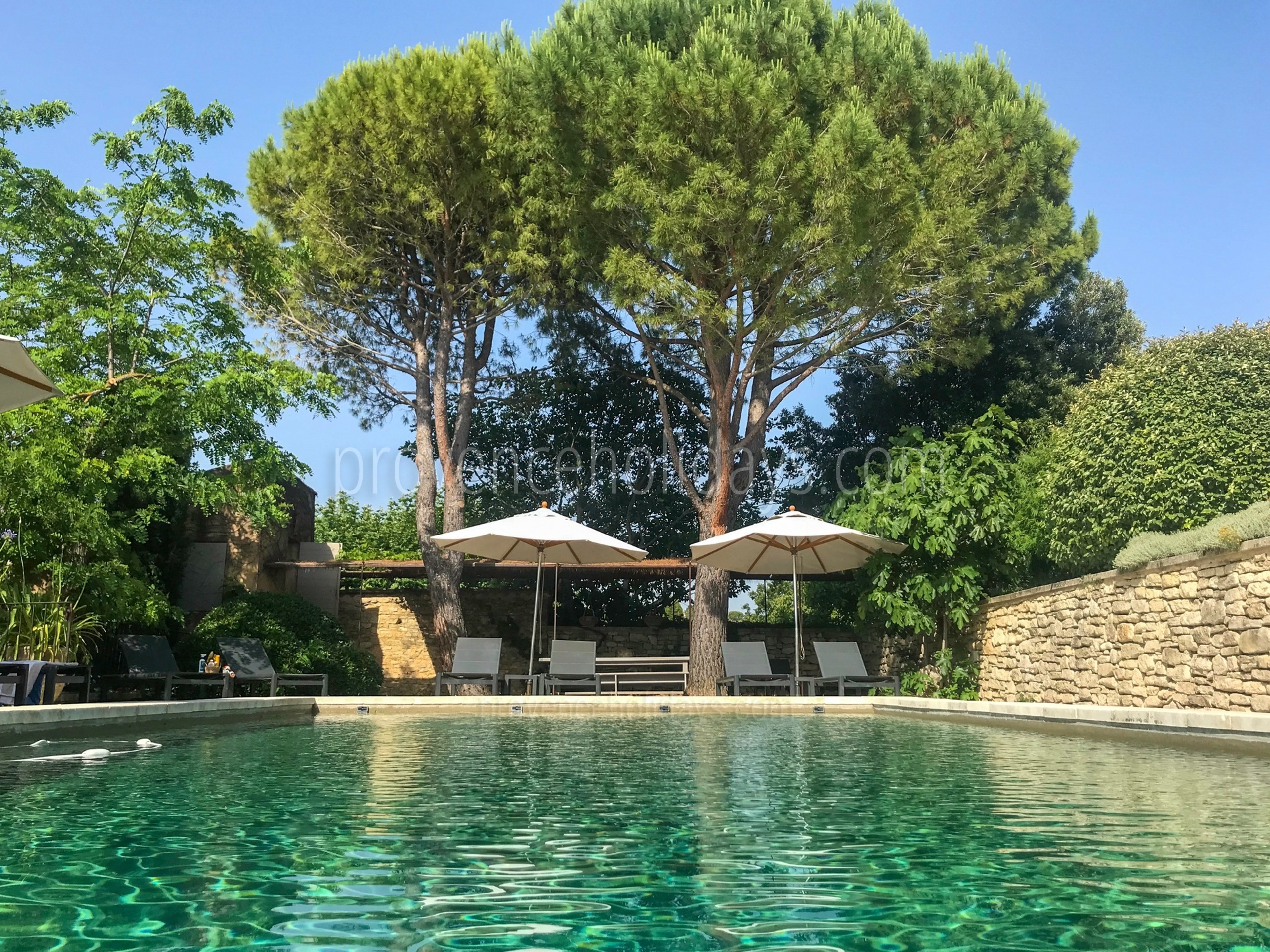 2 - Mas Goult: Villa: Pool