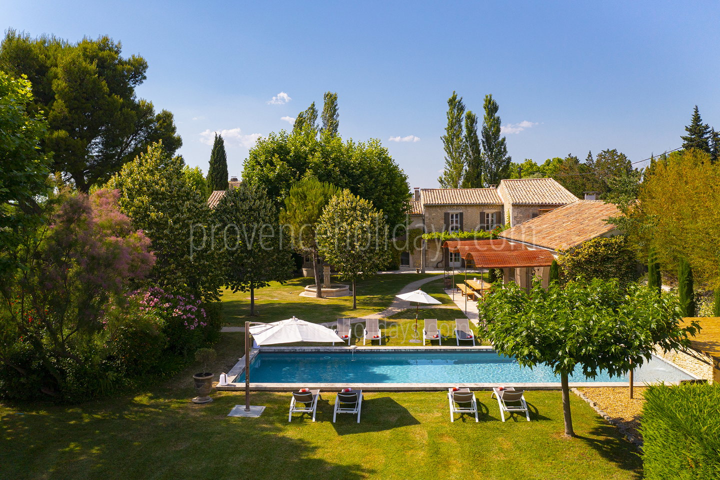 4 - Les Oliviers: Villa: Pool - Heated pool 5x15m