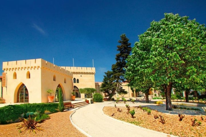 Wine Courses in Châteauneuf-du-Pape