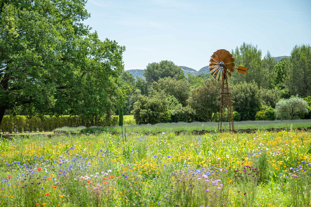 67 - Mas provence: Villa: Exterior