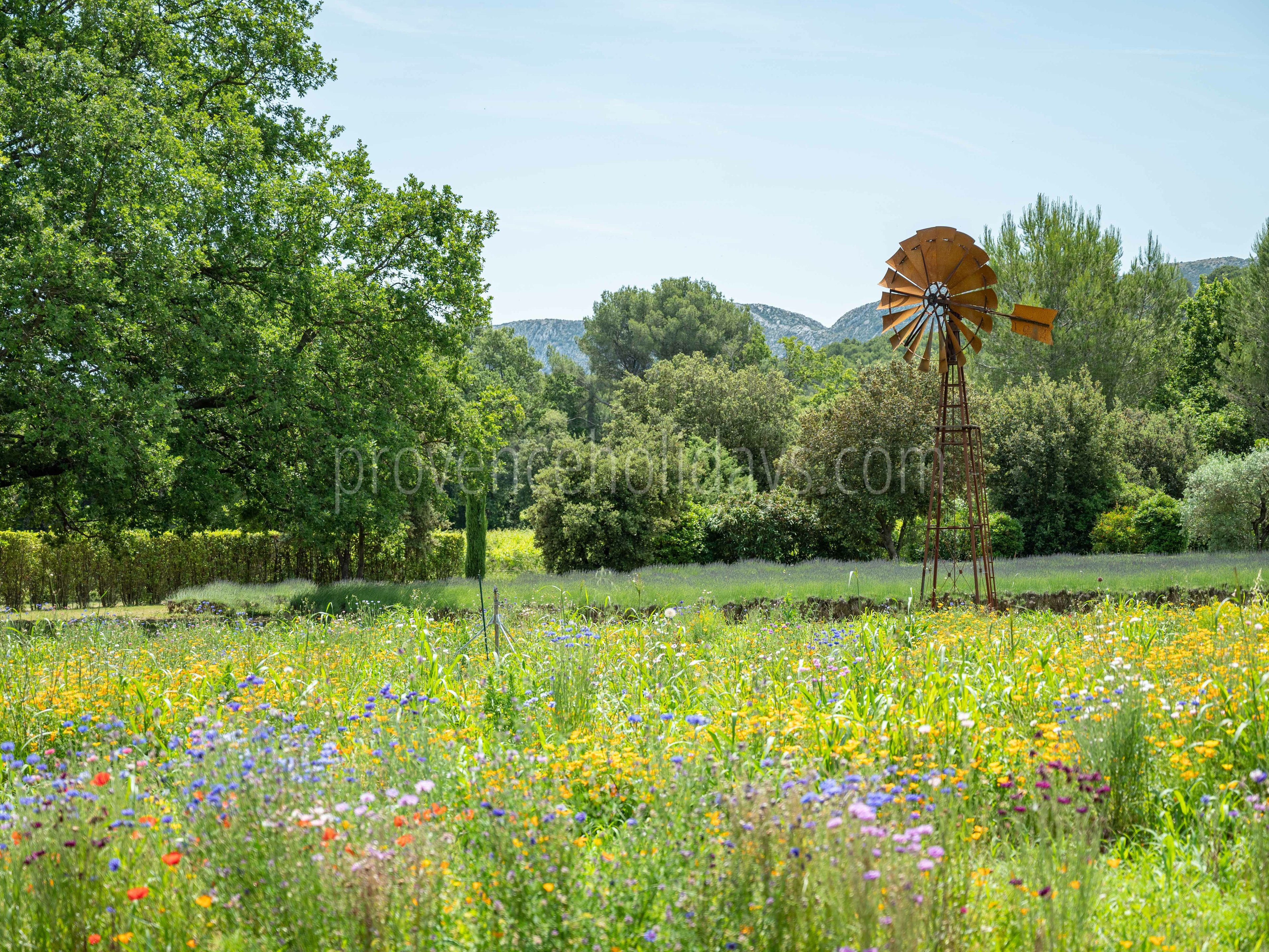 67 - Mas Provence: Villa: Exterior