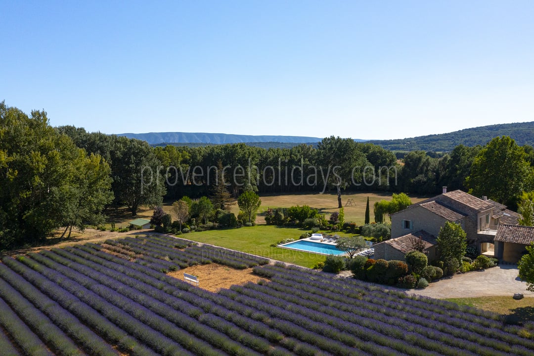 Propriété d'exception avec terrain de tennis et 2 piscines chauffées 8 - Mas du Carlet: Villa: Exterior