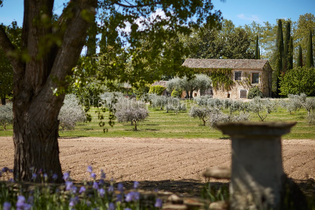 117 - Domaine de Luberon: Villa: Exterior