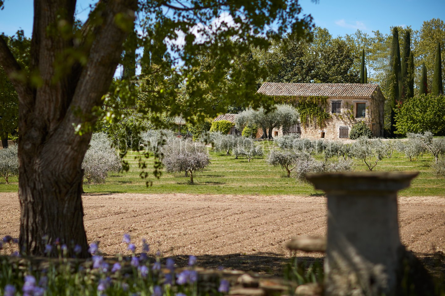 117 - Domaine de Luberon: Villa: Exterior