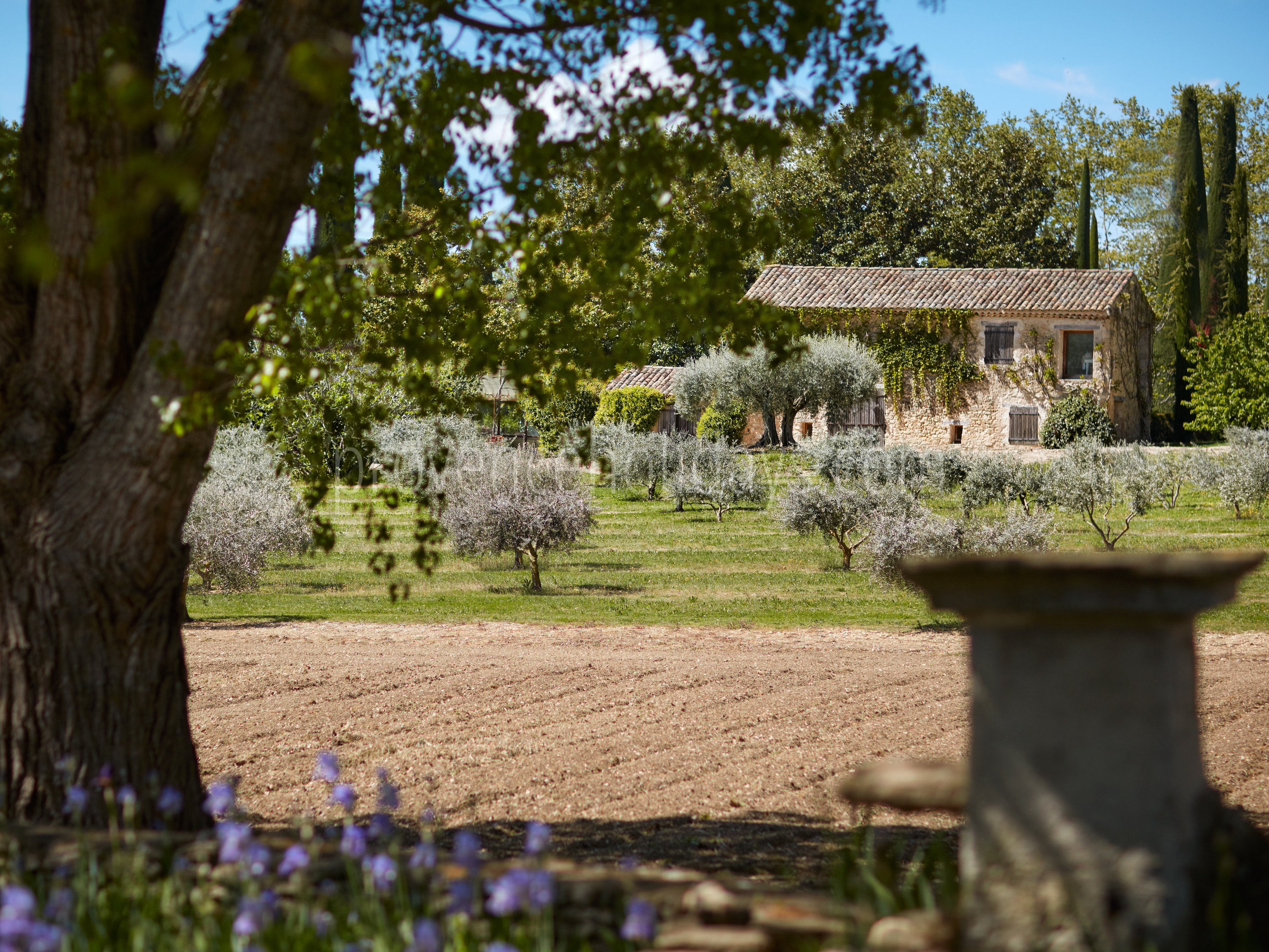 117 - Domaine de Luberon: Villa: Exterior
