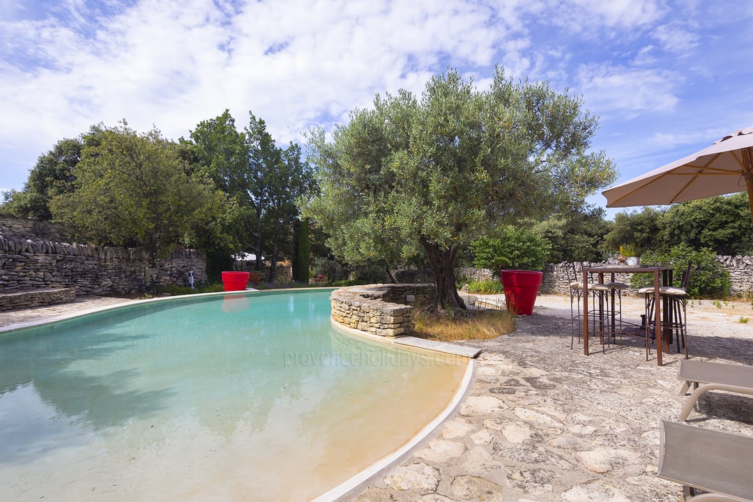 31 - La Garrigue: Villa: Pool